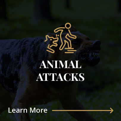 Animal Attacks